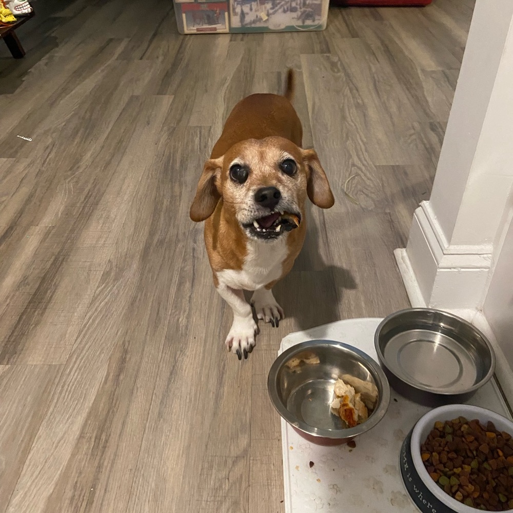 Meet your Posher, Cinliss